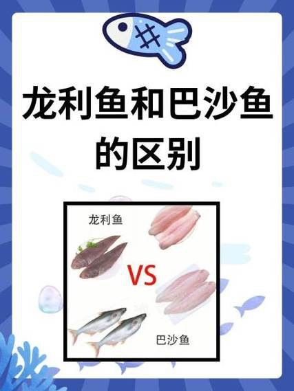巴沙魚和龍魚是一種魚嗎圖片
