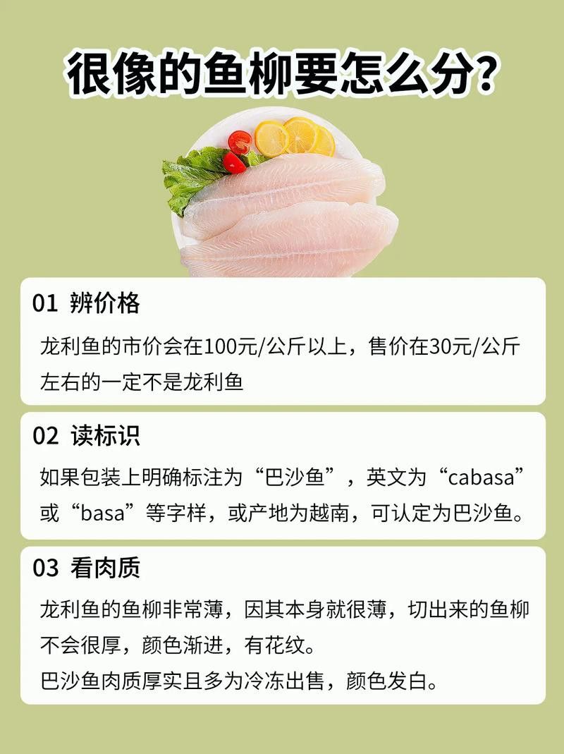 巴沙魚和龍魚是一種魚嗎圖片