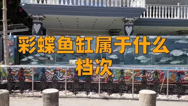 彩蝶龍魚缸有便宜點的嗎多少錢