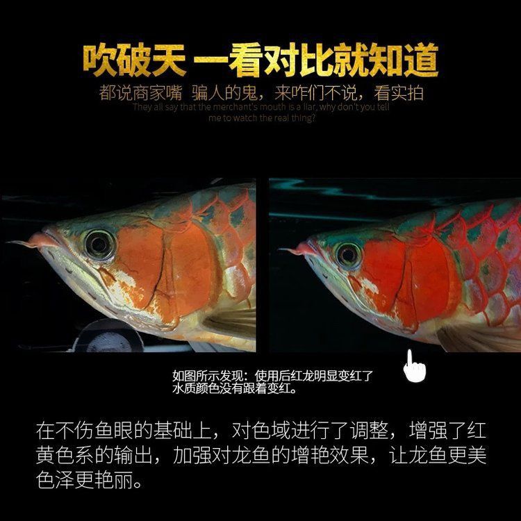馬印燈價格一覽表
