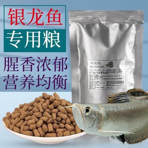 銀龍魚吃什么長的快又好看圖片