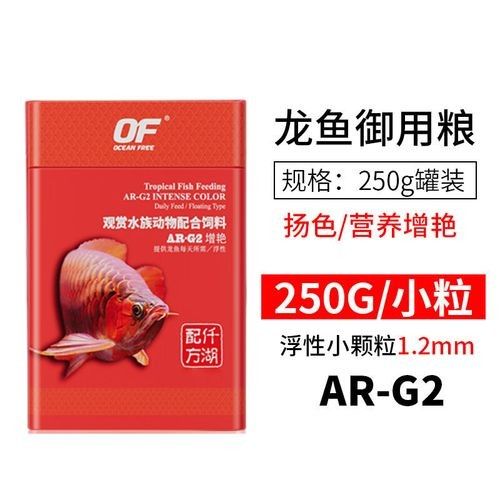 銀龍魚吃什么長的快又好看圖片