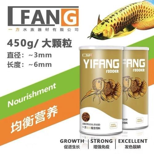 銀龍魚吃什么長的快又好看圖片