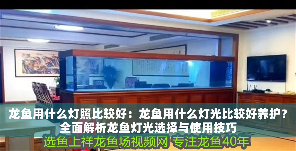 龍魚用什么燈照比較好：龍魚用什么燈光比較好養(yǎng)護(hù)？全面解析龍魚燈光選擇與使用技巧