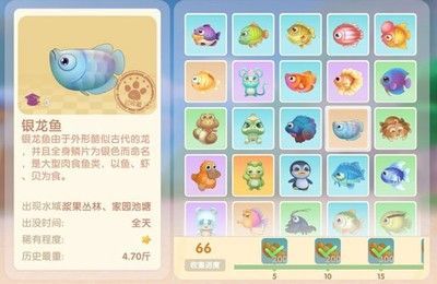 銀龍魚用什么釣（釣銀龍魚用什么餌料好？）