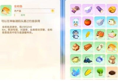 銀龍魚用什么釣（釣銀龍魚用什么餌料好？）