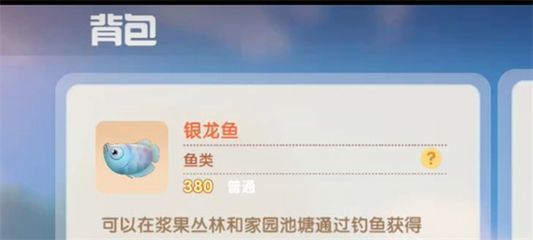 銀龍魚用什么釣（釣銀龍魚用什么餌料好？）