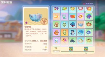 銀龍魚用什么釣（釣銀龍魚用什么餌料好？）