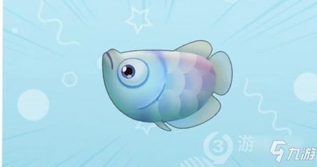 銀龍魚用什么釣（釣銀龍魚用什么餌料好？）
