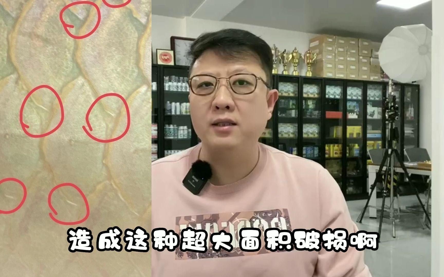 如何判斷龍魚鱗片潰爛的程度？