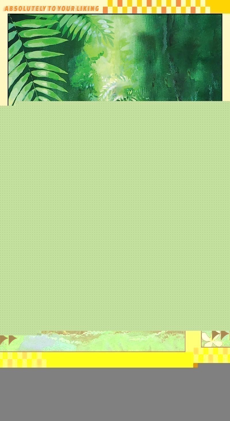 龍貓籠子多久清洗一次？