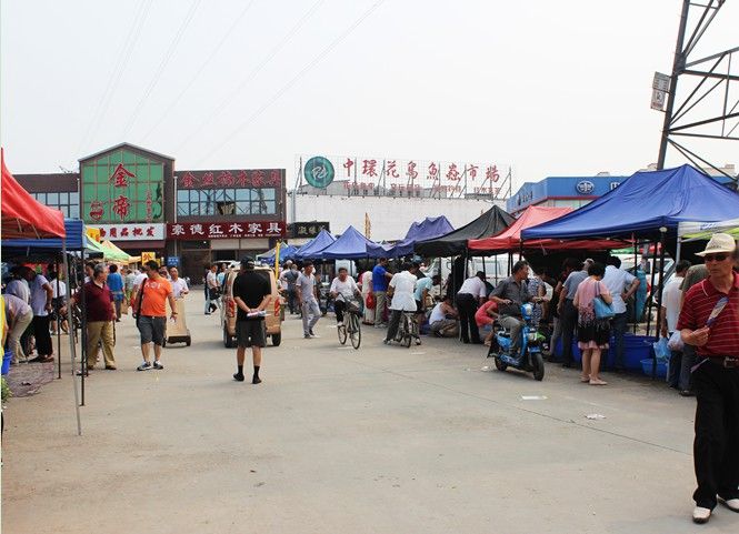 天津哪里有賣雷龍魚的實體店