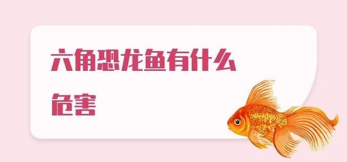 養六角恐龍魚有毒嗎