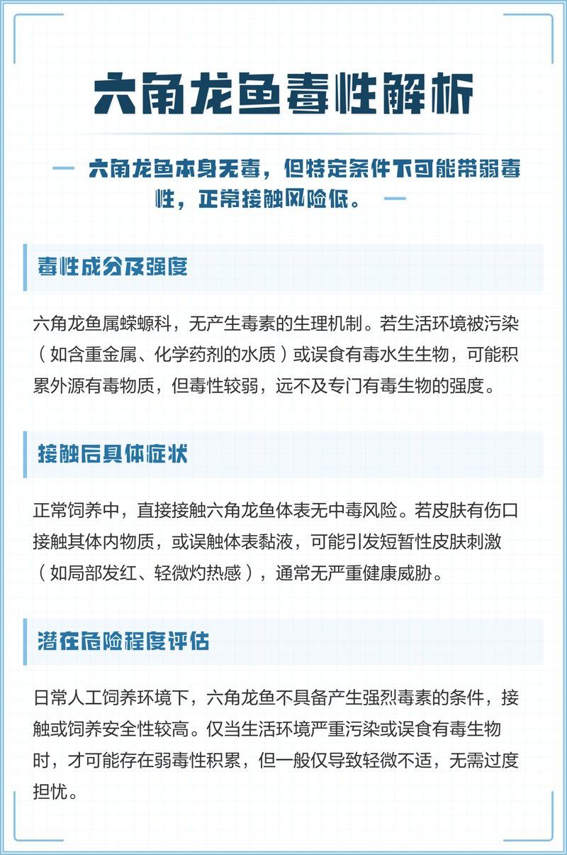 養六角恐龍魚有毒嗎