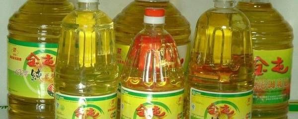 金龍魚最大多大：金龍魚最大體長(zhǎng)受到品種、飼養(yǎng)條件等多種因素的影響 金龍魚最大多大：金龍魚最大體長(zhǎng)受到品種、飼養(yǎng)條件等多種因素的影響 龍魚百科 第5張