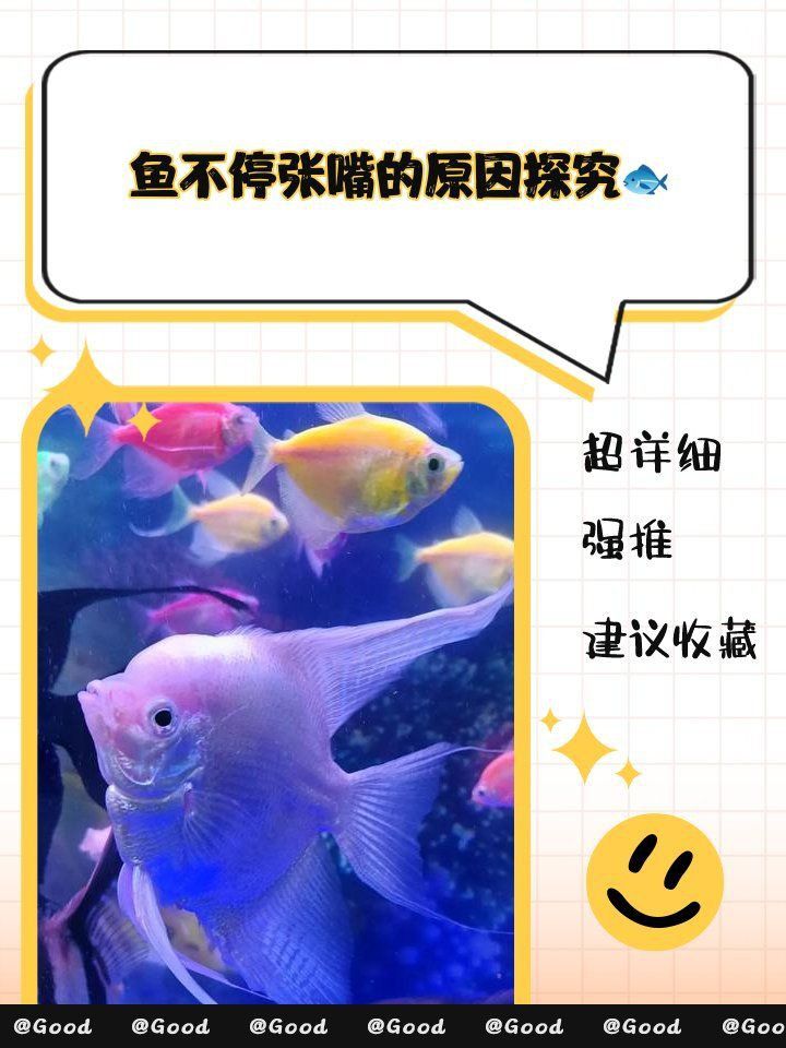 龍魚一直張嘴呼吸