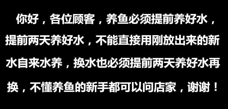 黃龍魚大概多少錢一只圖片
