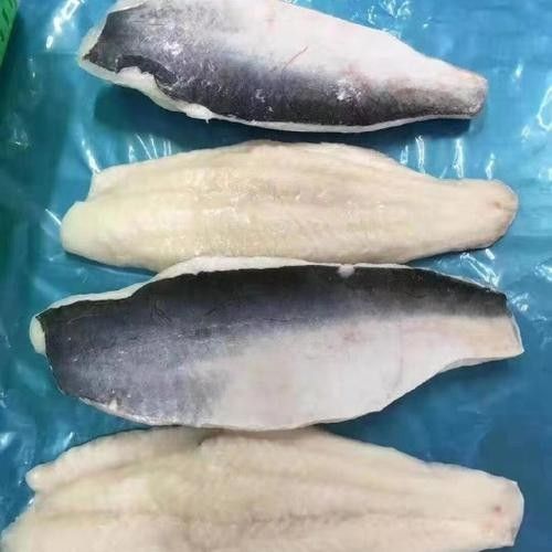黃龍魚大概多少錢一只圖片