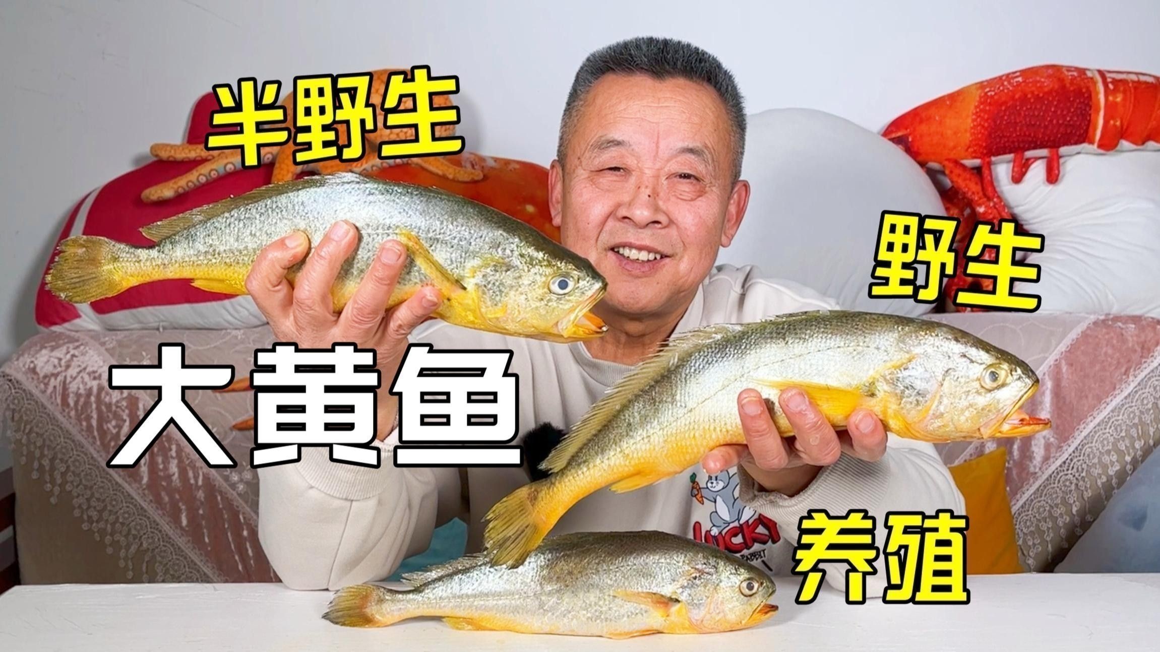 黃龍魚大概多少錢一只圖片