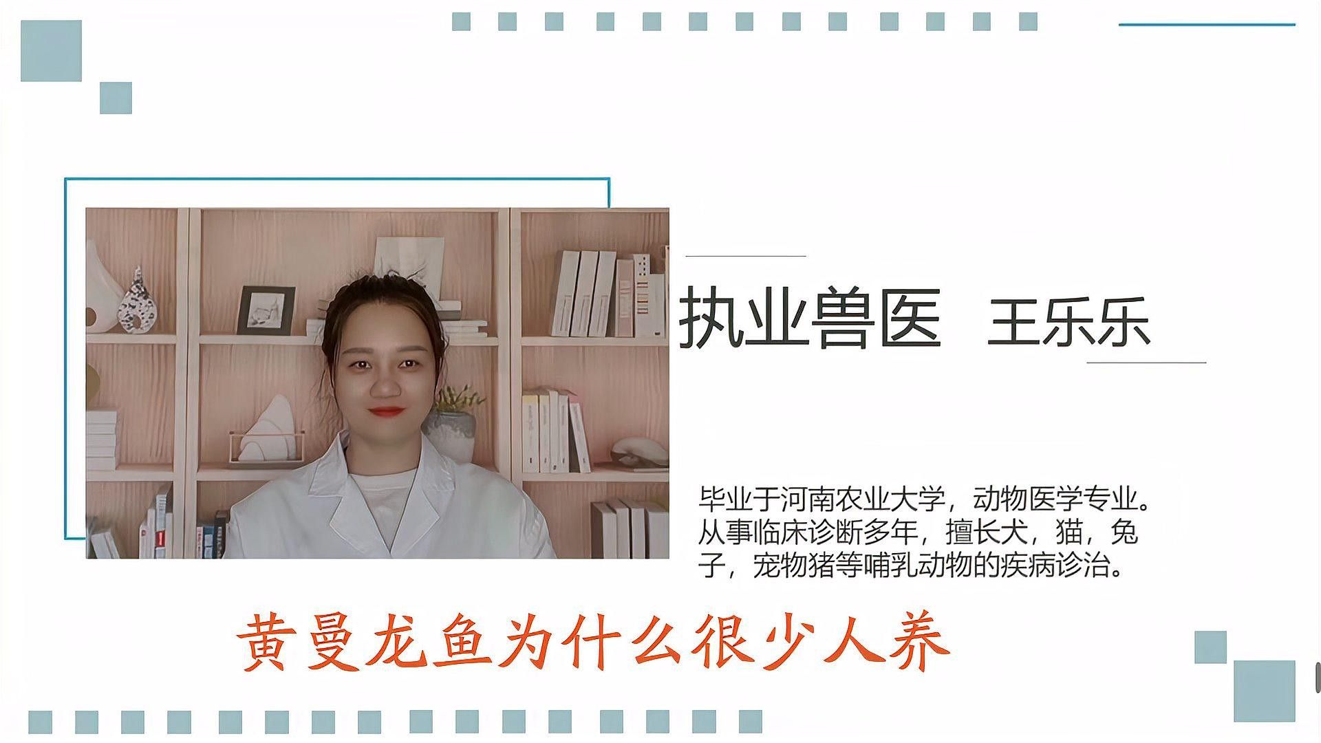 黃龍魚大概多少錢一只圖片