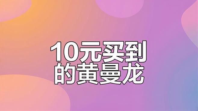 黃龍魚大概多少錢一只圖片