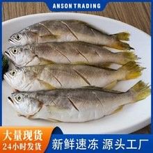 黃龍魚大概多少錢一只圖片