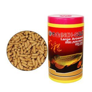 紅龍魚增色飼料的副作用：如何選擇合適的紅龍魚飼料，紅龍魚消化不良的解決方法