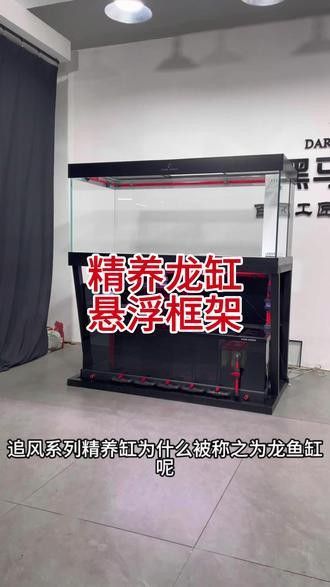專業龍魚缸