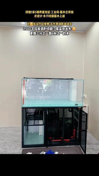 專業龍魚缸