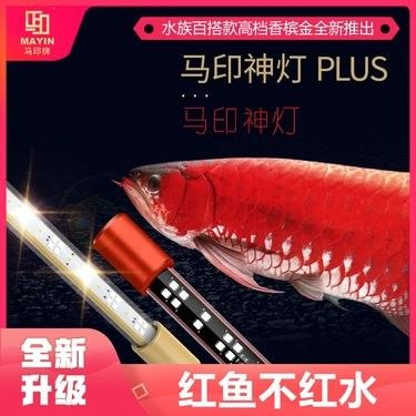 馬印神燈有哪些型號可選？