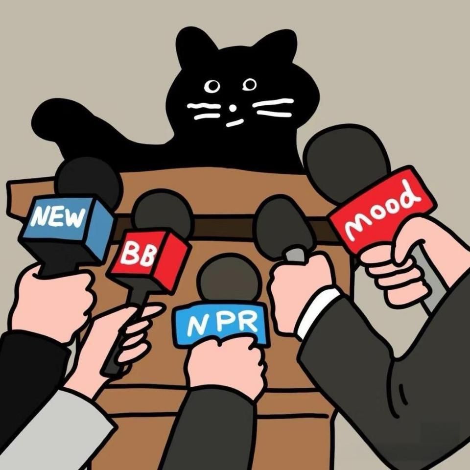 錦鯉為何不能隨便養