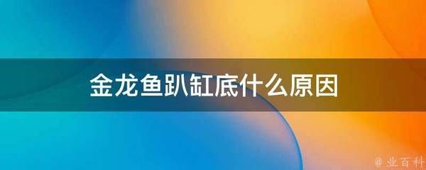 金龍魚趴缸底：金龍魚趴缸底可能由多種原因引起金龍魚趴缸底的心理疏導(dǎo)