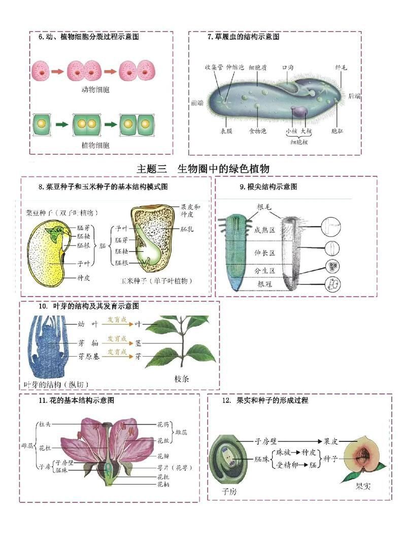 龍魚土霉素用法用量（使用土霉素治療龍魚腸炎時） 龍魚土霉素用法用量（使用土霉素治療龍魚腸炎時） 龍魚百科 第8張