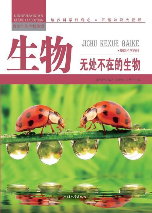 龍魚土霉素用法用量（使用土霉素治療龍魚腸炎時） 龍魚土霉素用法用量（使用土霉素治療龍魚腸炎時） 龍魚百科 第10張