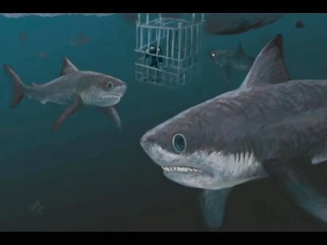 龍魚土霉素用法用量（使用土霉素治療龍魚腸炎時） 龍魚土霉素用法用量（使用土霉素治療龍魚腸炎時） 龍魚百科 第16張
