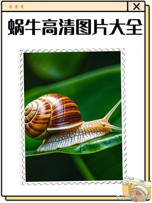 龍魚土霉素用法用量（使用土霉素治療龍魚腸炎時） 龍魚土霉素用法用量（使用土霉素治療龍魚腸炎時） 龍魚百科 第24張