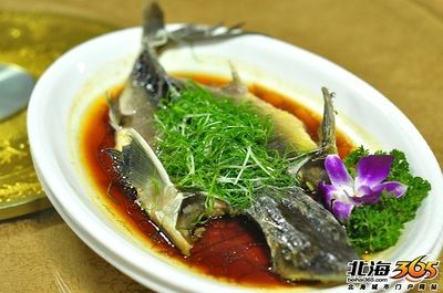 龍魚肉質(zhì)：龍魚的營養(yǎng)豐富，含有高質(zhì)量的蛋白質(zhì)，且刺少 龍魚肉質(zhì)：龍魚的營養(yǎng)豐富，含有高質(zhì)量的蛋白質(zhì)，且刺少 龍魚百科 第3張