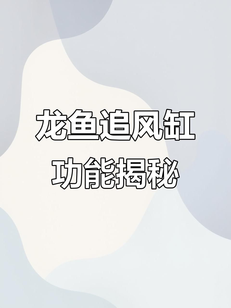 龍魚頂級魚缸推薦 龍魚頂級魚缸推薦 龍魚百科 第3張