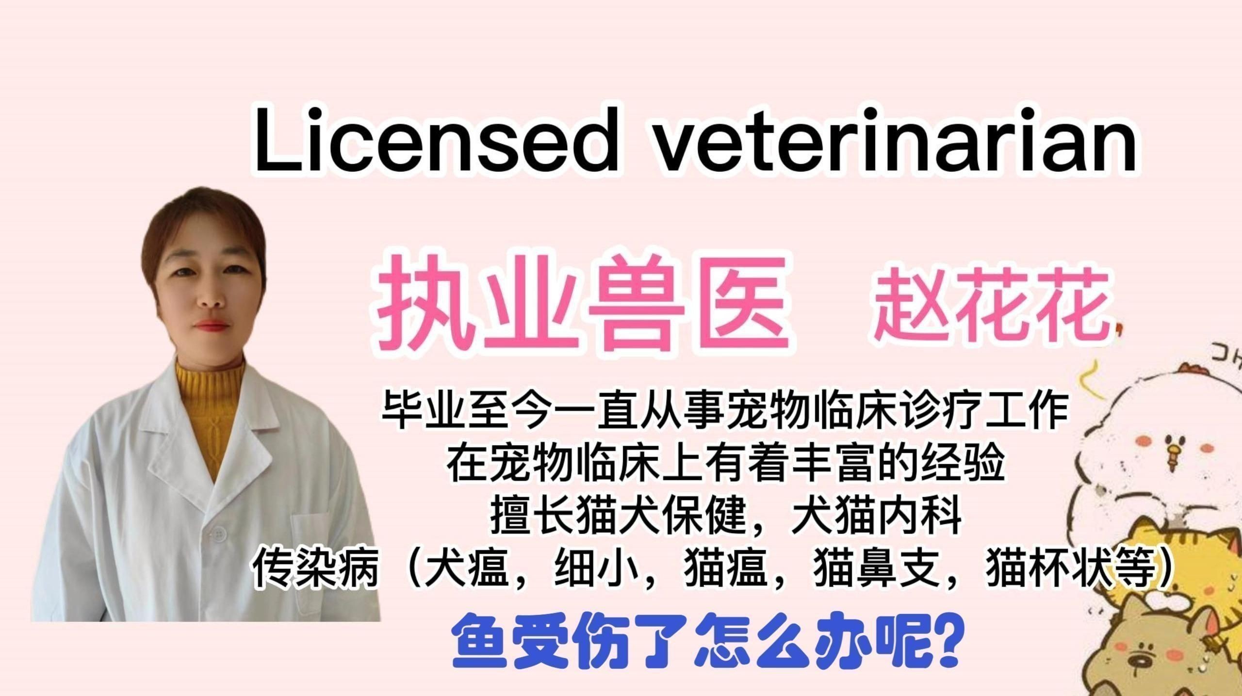 如何預防魚傷口感染？