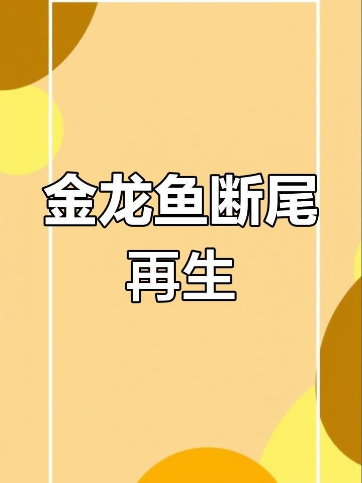 龍魚掉尾需要多久才能恢復？
