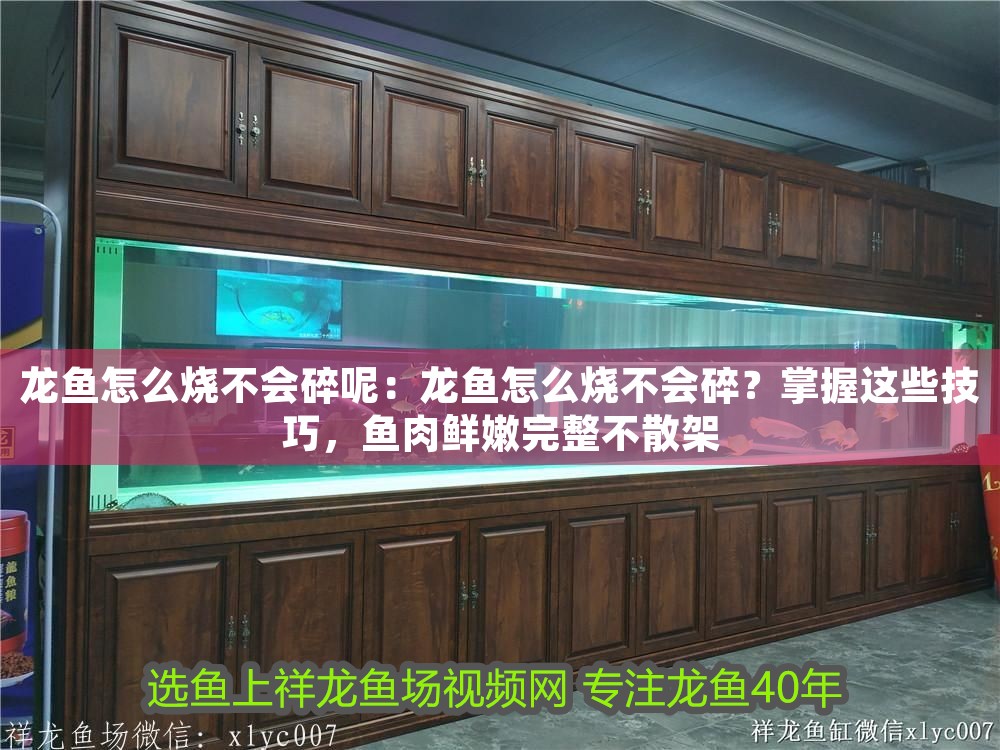 龍魚怎么燒不會碎呢：龍魚怎么燒不會碎？掌握這些技巧，魚肉鮮嫩完整不散架 龍魚怎么燒不會碎呢：龍魚怎么燒不會碎？掌握這些技巧，魚肉鮮嫩完整不散架 龍魚百科 第1張