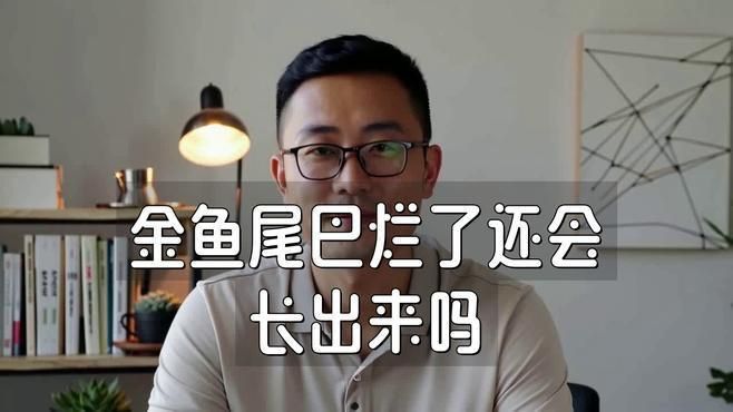 金魚尾巴爛了需要多久才能恢復？