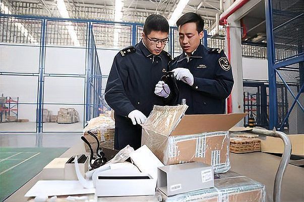 火龍魚蠑螈能長多大？