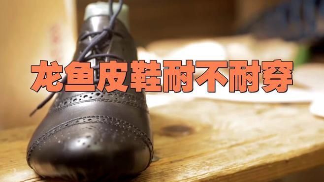 龍魚皮鞋屬于什么檔次