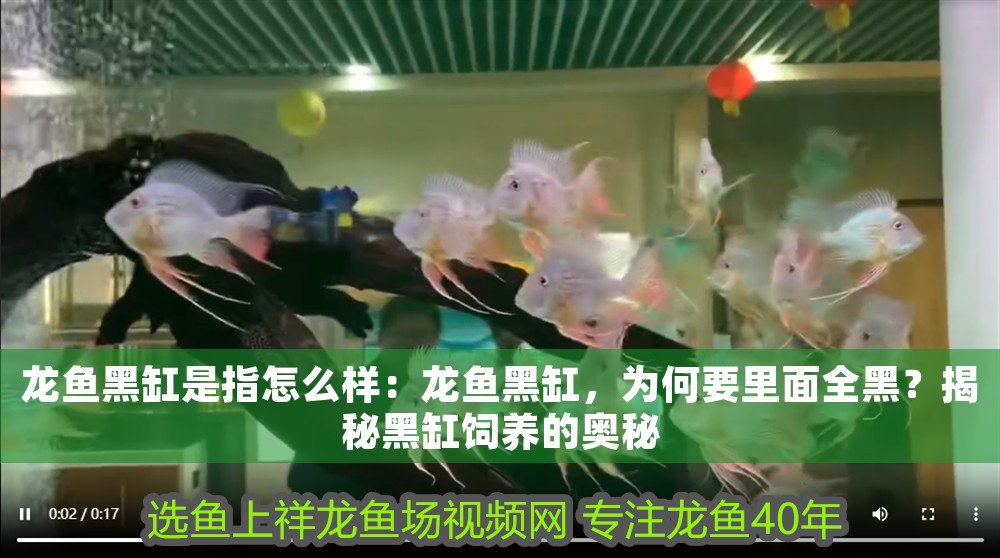 龍魚黑缸是指怎么樣：龍魚黑缸，為何要里面全黑？揭秘黑缸飼養的奧秘