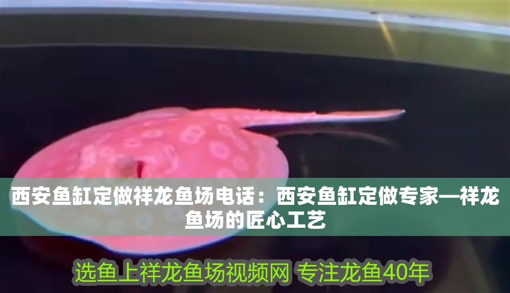 <strong><mark>西安</mark></strong>魚缸定做祥龍魚場電話：<strong><mark>西安</mark></strong>魚缸定做專家—祥龍魚場的匠心工藝
