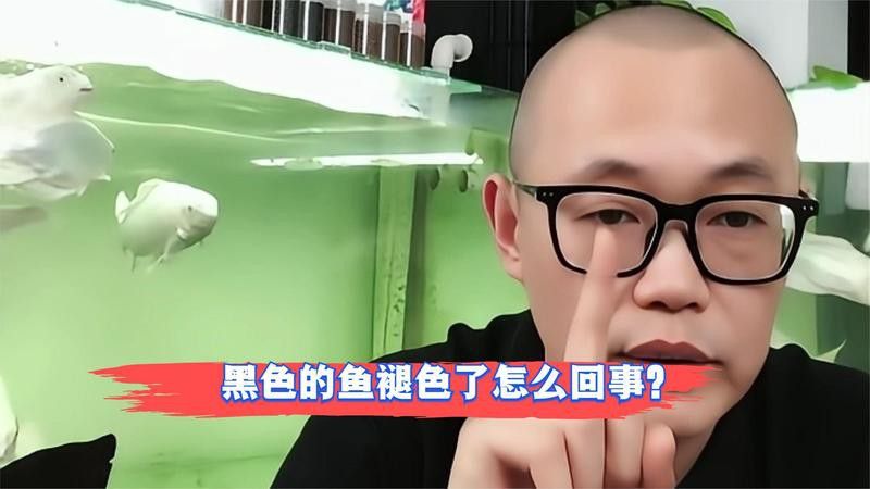 24K金龍魚褪色后如何恢復顏色？
