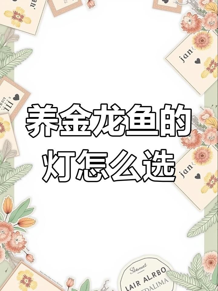 推薦幾款適合金龍魚的魚缸燈