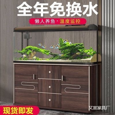 1米的魚缸（1米魚缸內部裝飾設計魚缸過濾系統安裝教程）