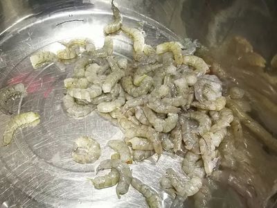 龍魚喂蝦仁消毒方法（喂養(yǎng)龍魚蝦仁時，除了選擇合適的蝦類和正確的處理方法外）